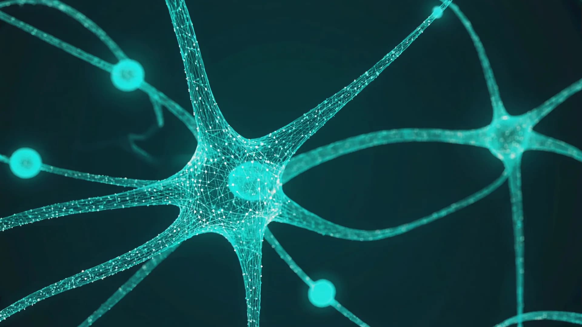 Image-Student Success-3