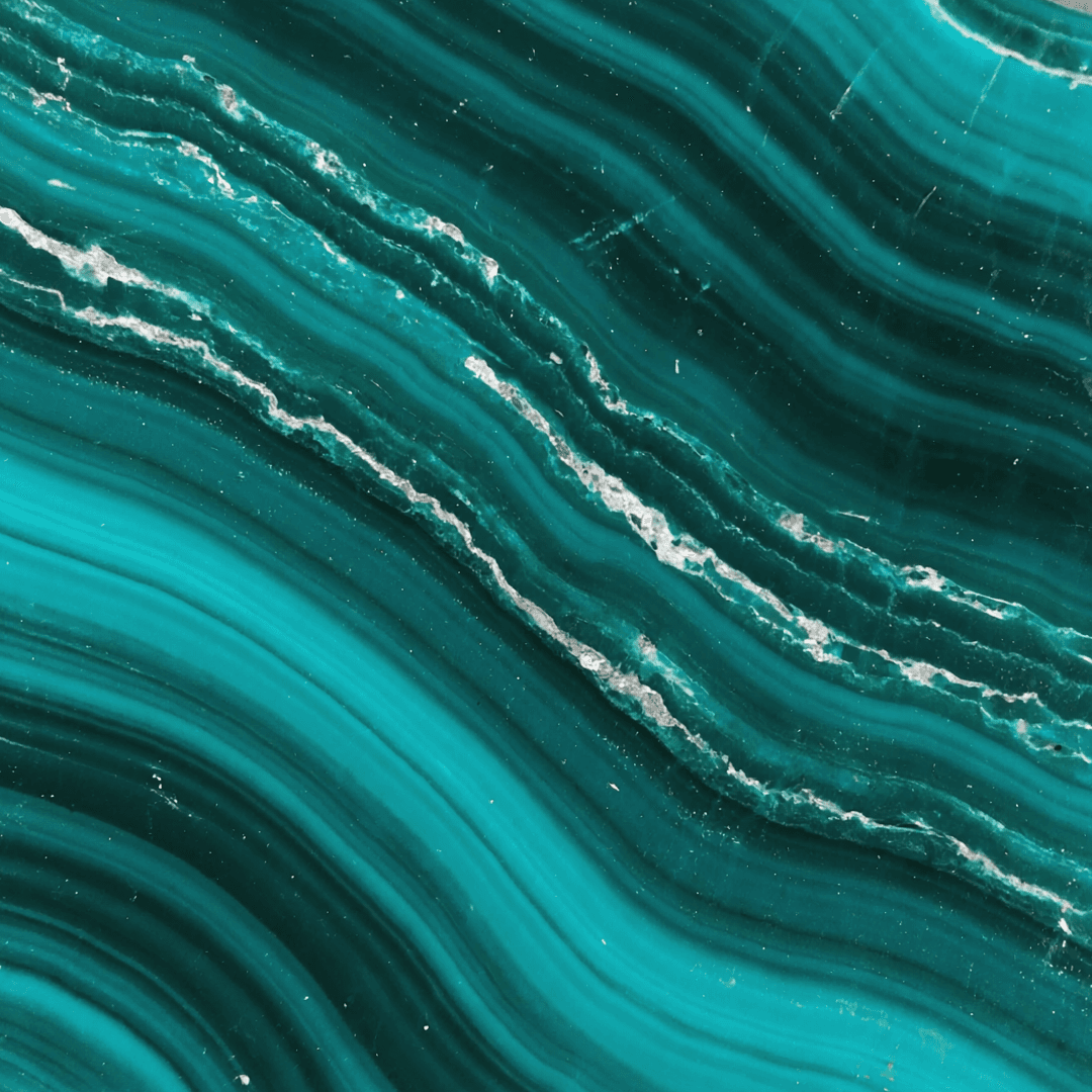 Image-Student Success-0